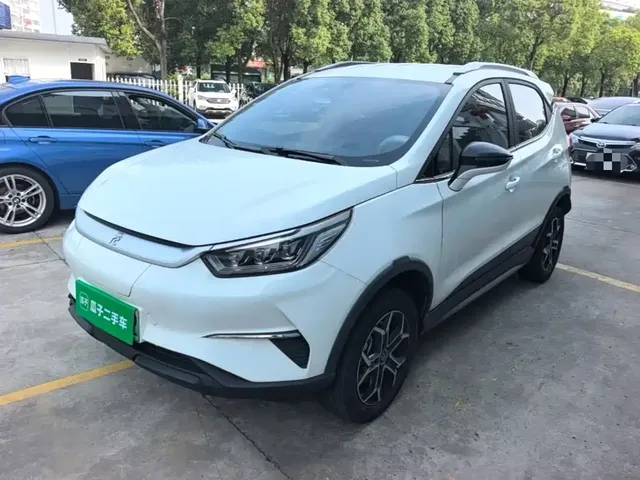 BYD Yuan Pro 2021 401KM Luxury Model