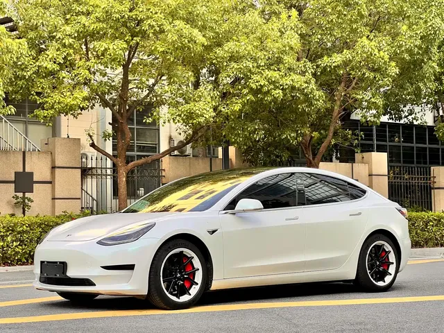 Tesla Model 3 2020 Facelift Standard Range RWD Upgrade