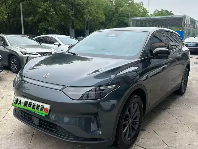 Leapmotor C11 2023 Pure Electric 500 Comfort Edition