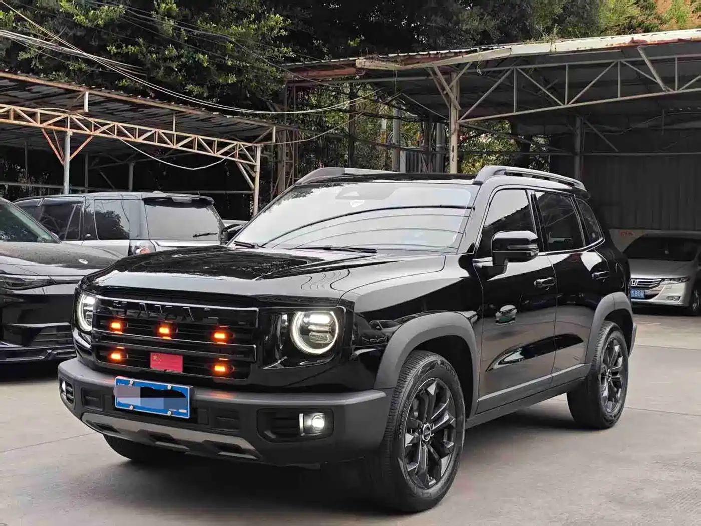 Haval Big Dog 2024 1.5T DCT Border Collie Edition