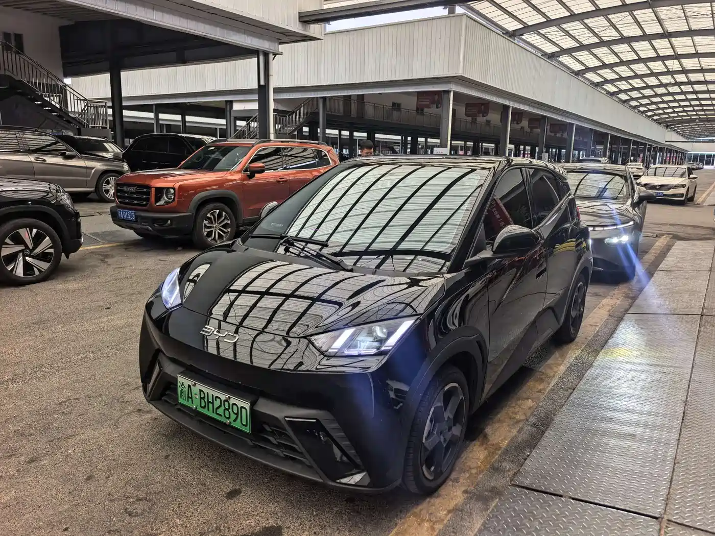 BYD Seagull 2024 Glory Edition 405km Soaring Edition