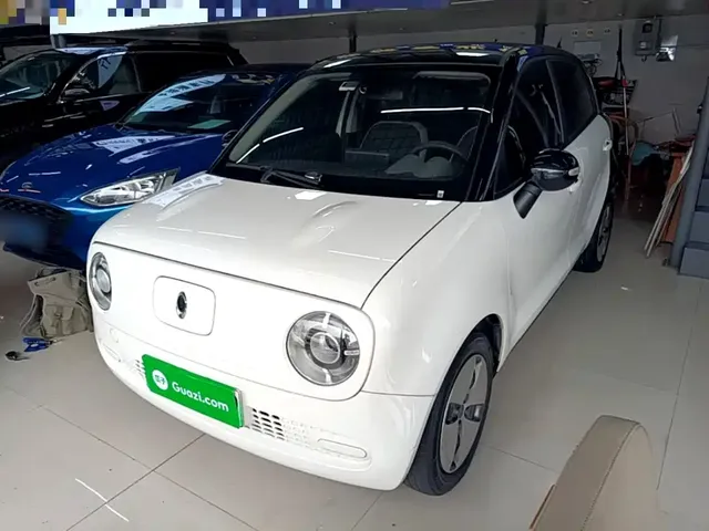 Ora Black Cat 2021 301km Pet Edition