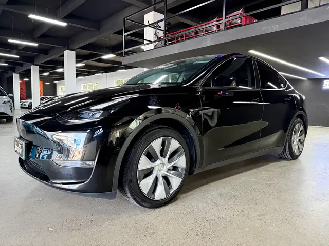 Tesla Model Y 2021 Standard Range Rear-Wheel Drive