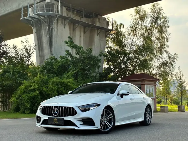 Mercedes-Benz CLS 2020 CLS 300 Dynamic