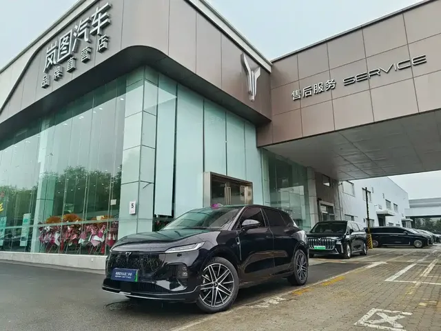 Voyah Auto Voyah Zhiyin 2025 Base