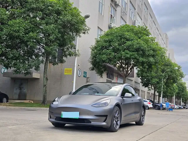 Tesla Model 3 2021 Standard Range Rear-Wheel Drive Upgrade 3D6