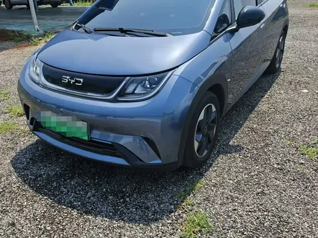BYD Dolphin 2025 420km Freedom Edition