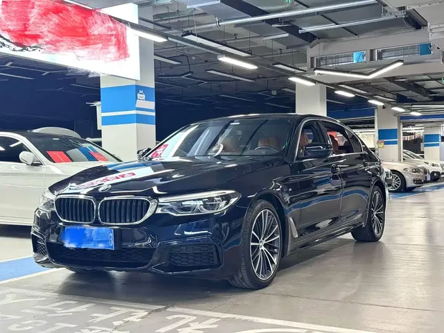 BMW 5 Series 2020 530Li Leading M Sport Package