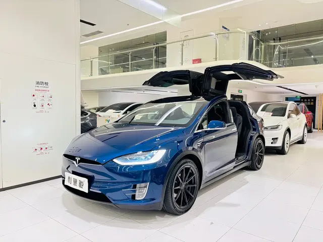Tesla Model X 2017 Model X 100D Long Range