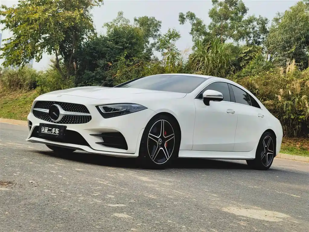 Mercedes-Benz CLS 2021 CLS 300 Luxury