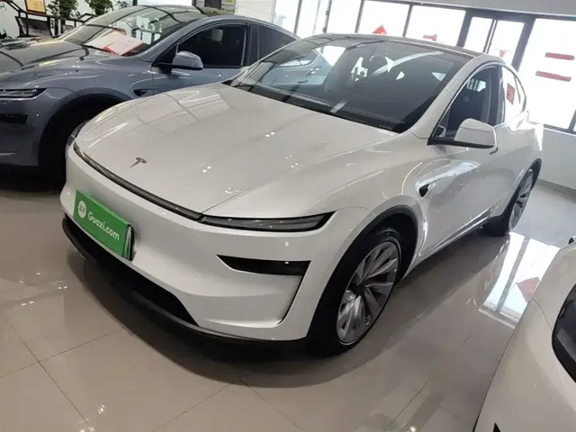 Tesla Model Y 2025 Model Long Range All-Wheel Drive Launch Edition