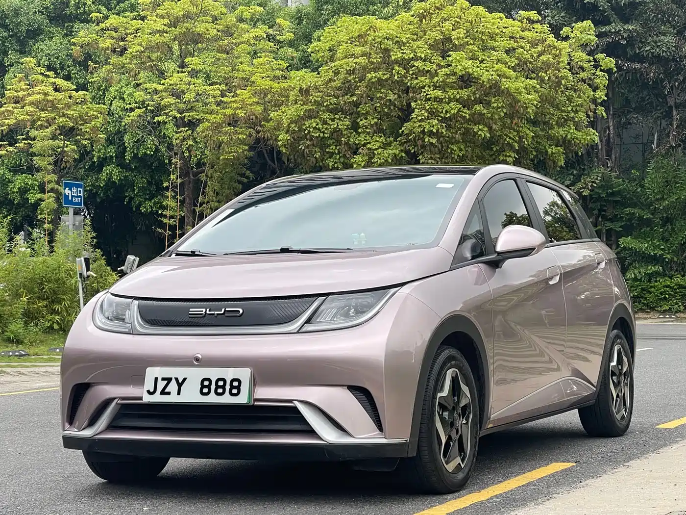BYD Dolphin 2021 Model 405km Fashion Edition