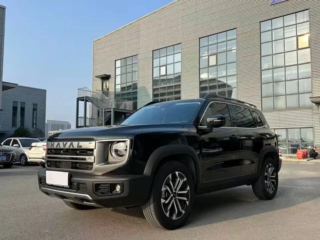 Haval Big Dog 2024 1.5T DCT Border Collie Edition