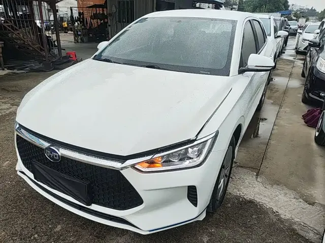 BYD e2 2020 Upgrade Standard Range Standard Model