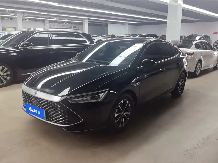 BYD Qin PLUS 2023 Champion Edition DM-i 55KM Leading
