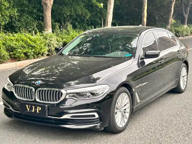 BMW 5 Series 2020 530Li Leading Luxury Package