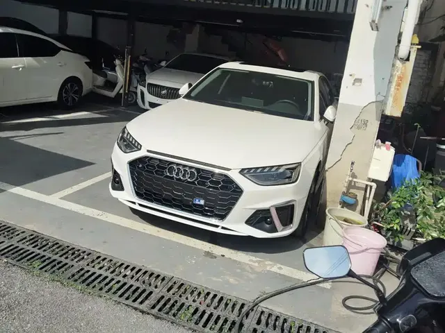 Audi A4L 2020 40 TFSI Luxury Dynamic