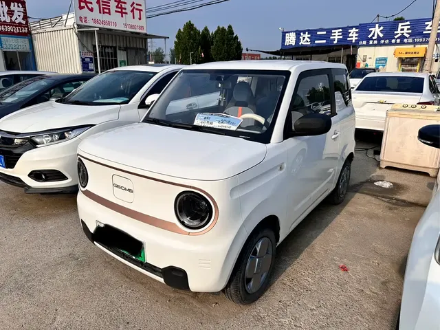 Geely Galaxy Panda 2024 Panda mini 200km Endurance Bear