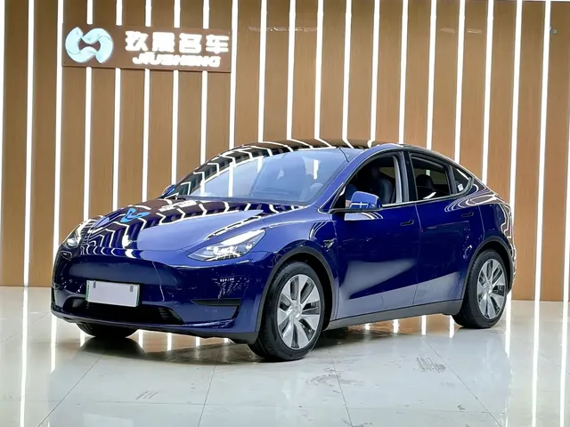 Tesla Model Y 2022 Rear-Wheel Drive Version