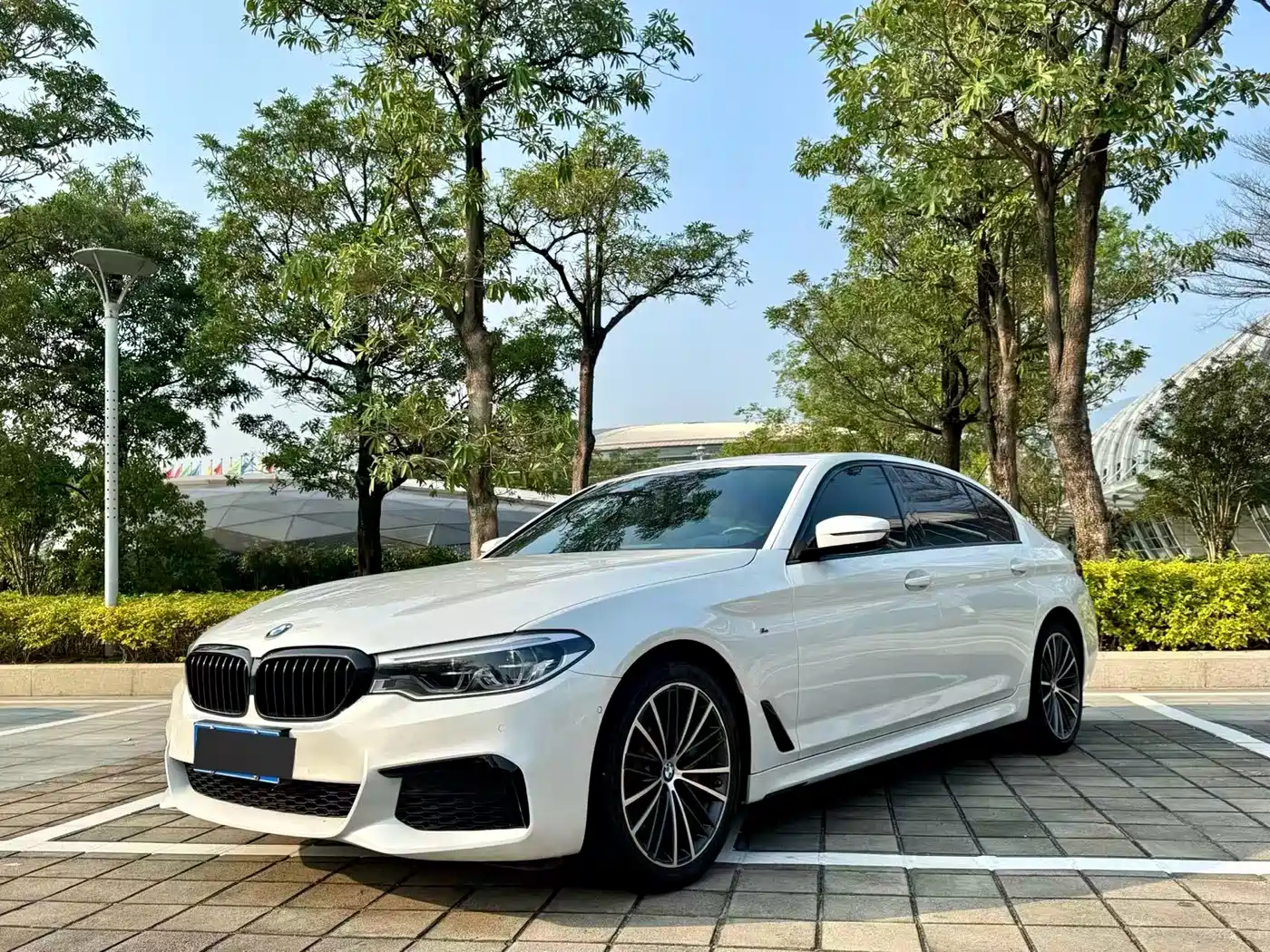 BMW 5 Series 2020 Model 530Li xDrive M Sport Package