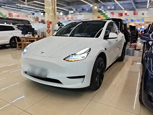 Tesla Model Y 2024 Rear-Wheel Drive Version