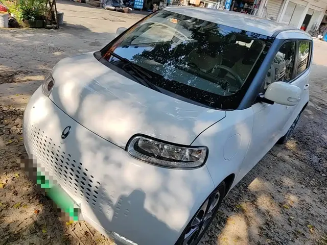 Ora White Cat 2020 305km Official Version