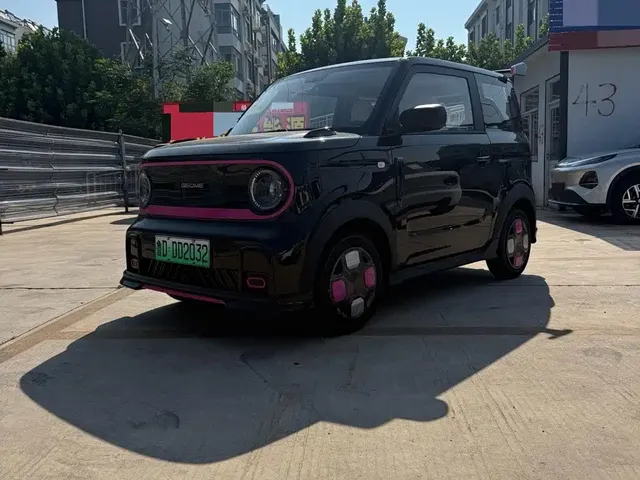 Geely Galaxy Panda 2025 Model Year 210km Panda Kart