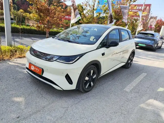 BYD Dolphin 2025 Smart Drive Edition 410km Fashion Version