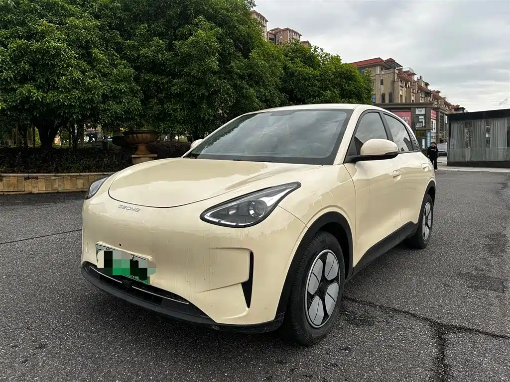 Geely Galaxy Starry Wish 2025 310km Youth Edition