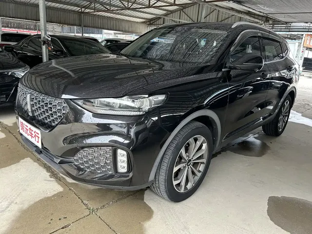 WEY VV6 2020 2.0T 2WD Smart Protection+