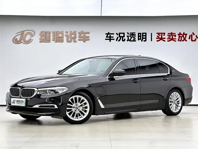BMW 5 Series New Energy 2019 Facelift 530Le Luxury Package