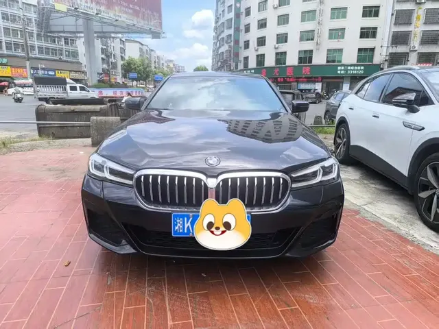 BMW 5 Series 2021 530Li Leading M Sport Package