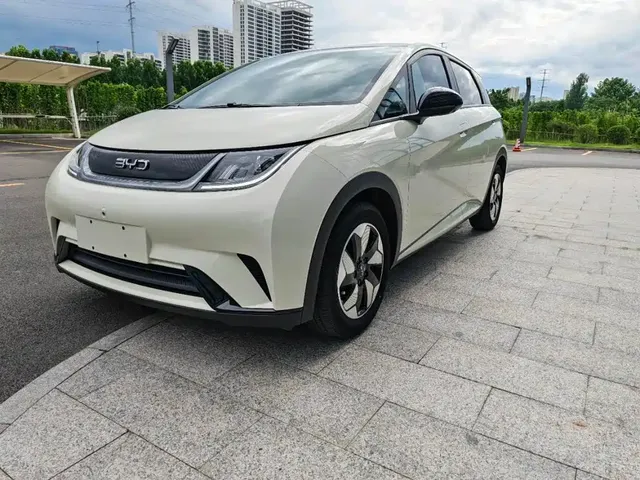 BYD Dolphin 2025 420km Freedom Edition