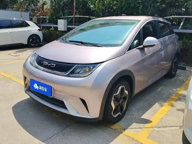 BYD Dolphin 2021 405km Freedom Edition