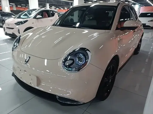 Ora Good Cat 2024 401km Luxury