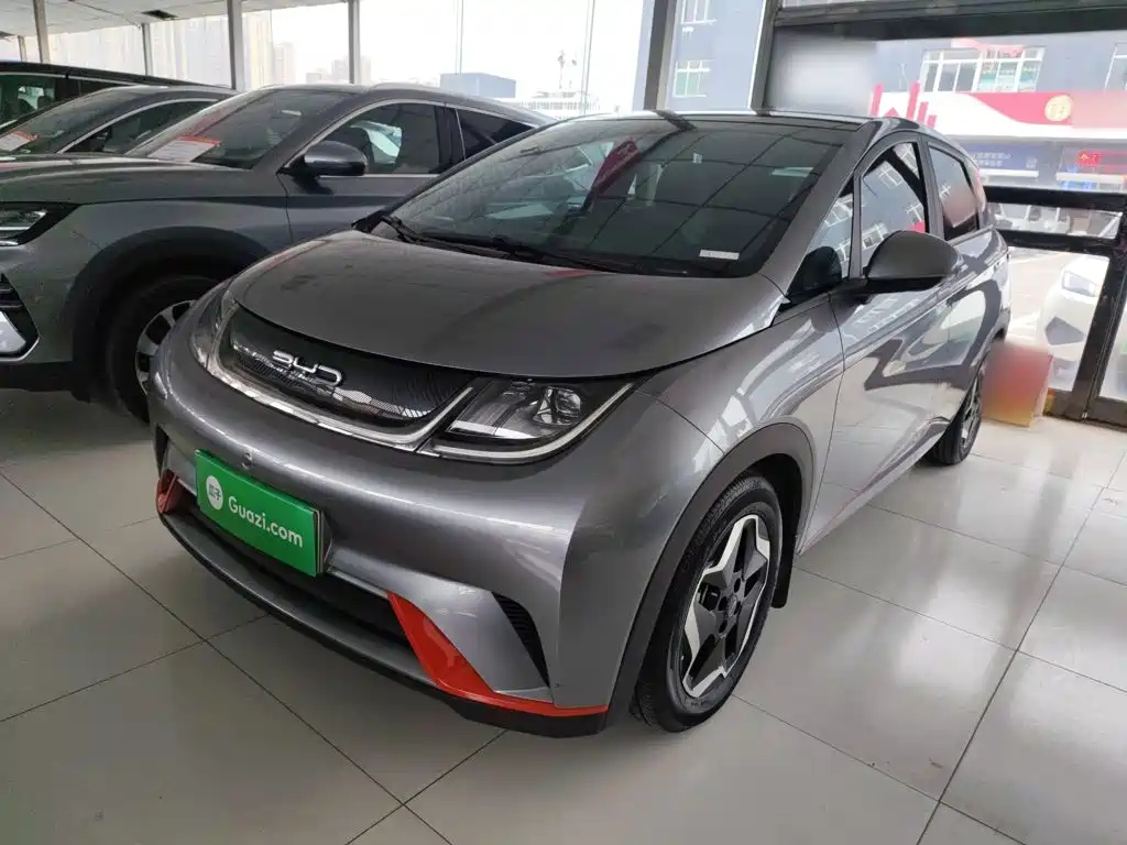 BYD Dolphin 2021 Model 405km Fashion Edition