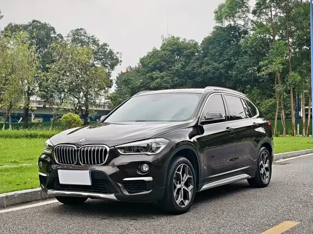 BMW X1 2019 xDrive20Li Premium Model