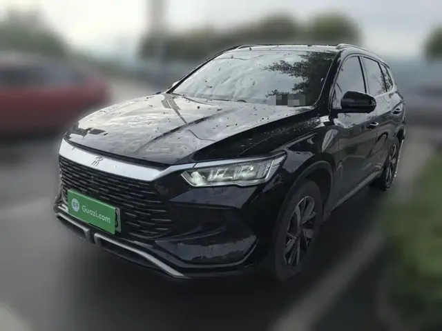 BYD Song Pro New Energy 2024 Glory Edition DM-i 71KM Pilot