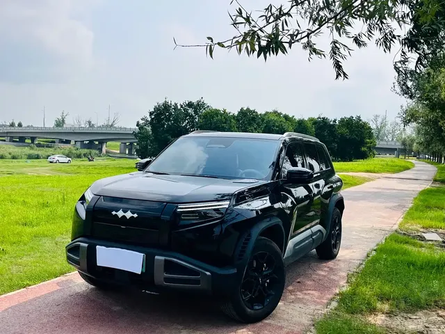 Fang Cheng Bao Titanium 3 2025 501KM RWD Smart Drive Max