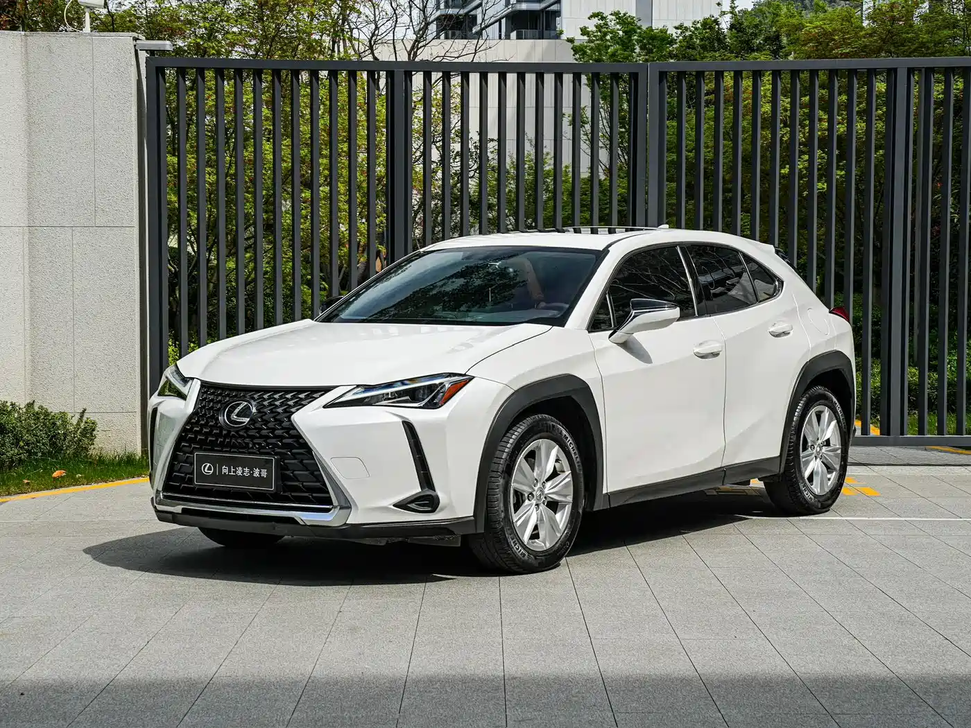 Lexus UX 2020 200 Special Edition