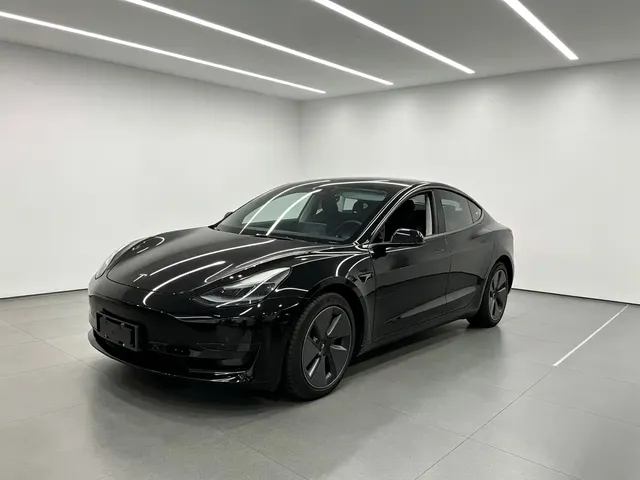 Tesla Model 3 2022 Model Rear-Wheel Drive Version