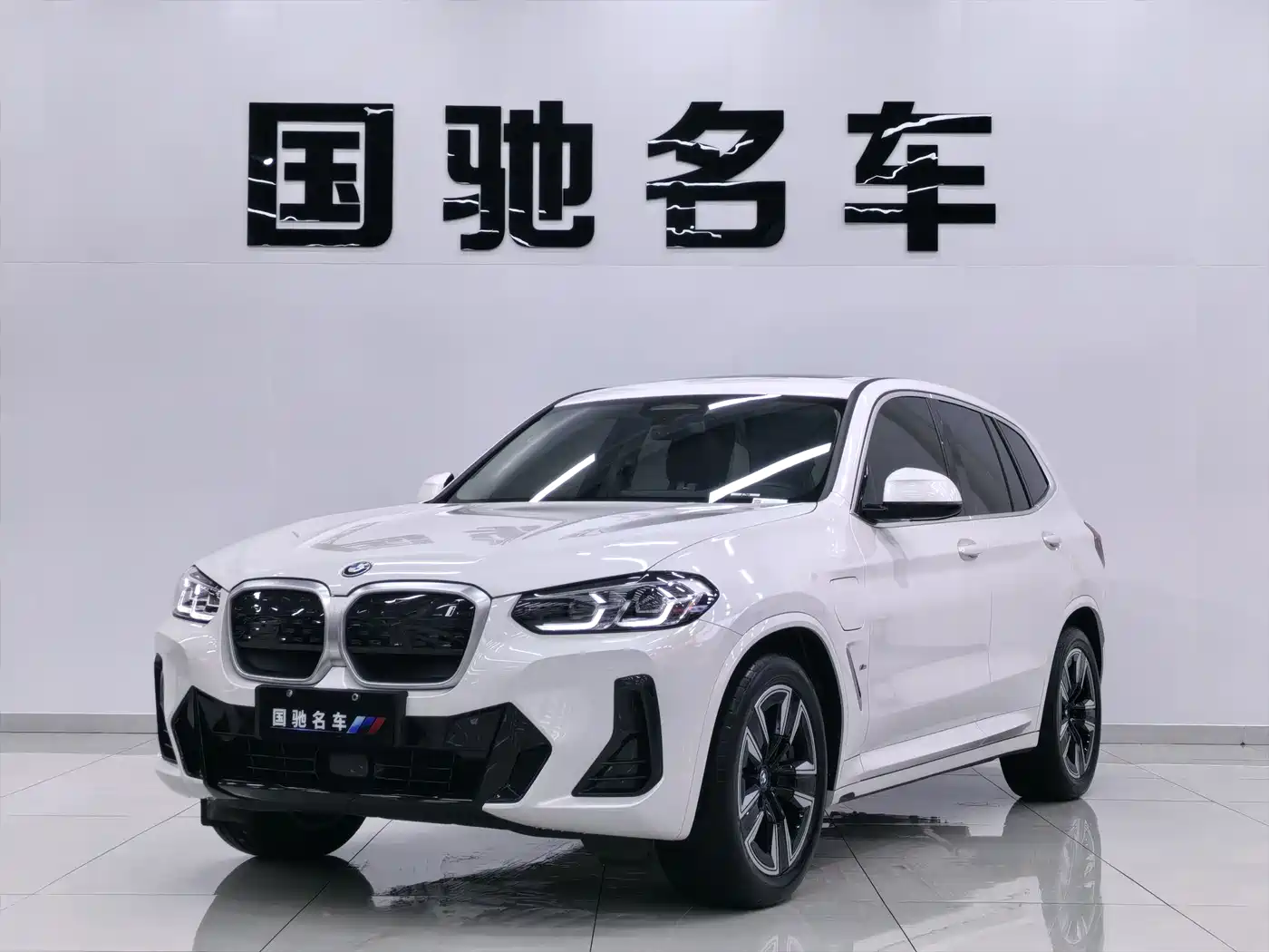 BMW iX3 2023 Leading Type