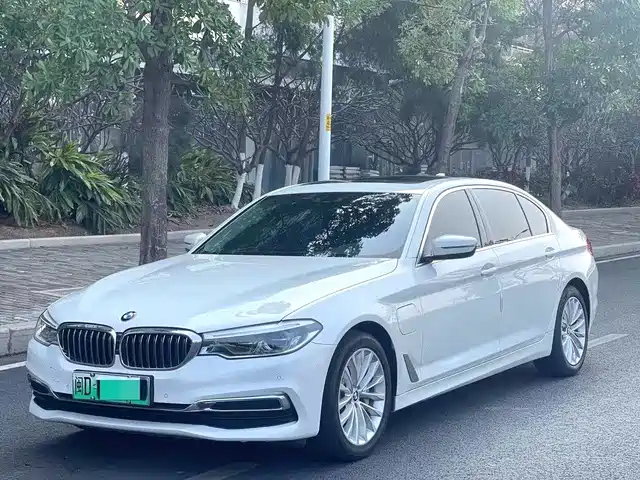 BMW 5 Series New Energy 2020 530Le Range Upgrade Pioneer Edition