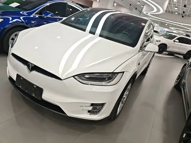 Tesla Model X 2019 Standard Range Version