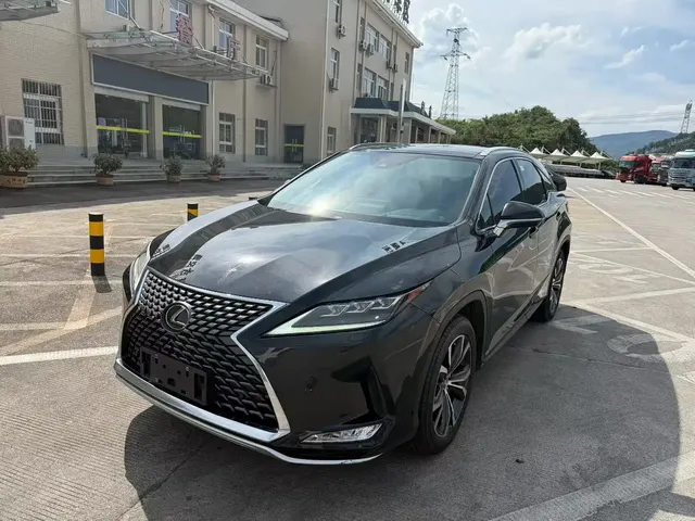 Lexus RX 2020 300 4WD Elegance Edition China VI