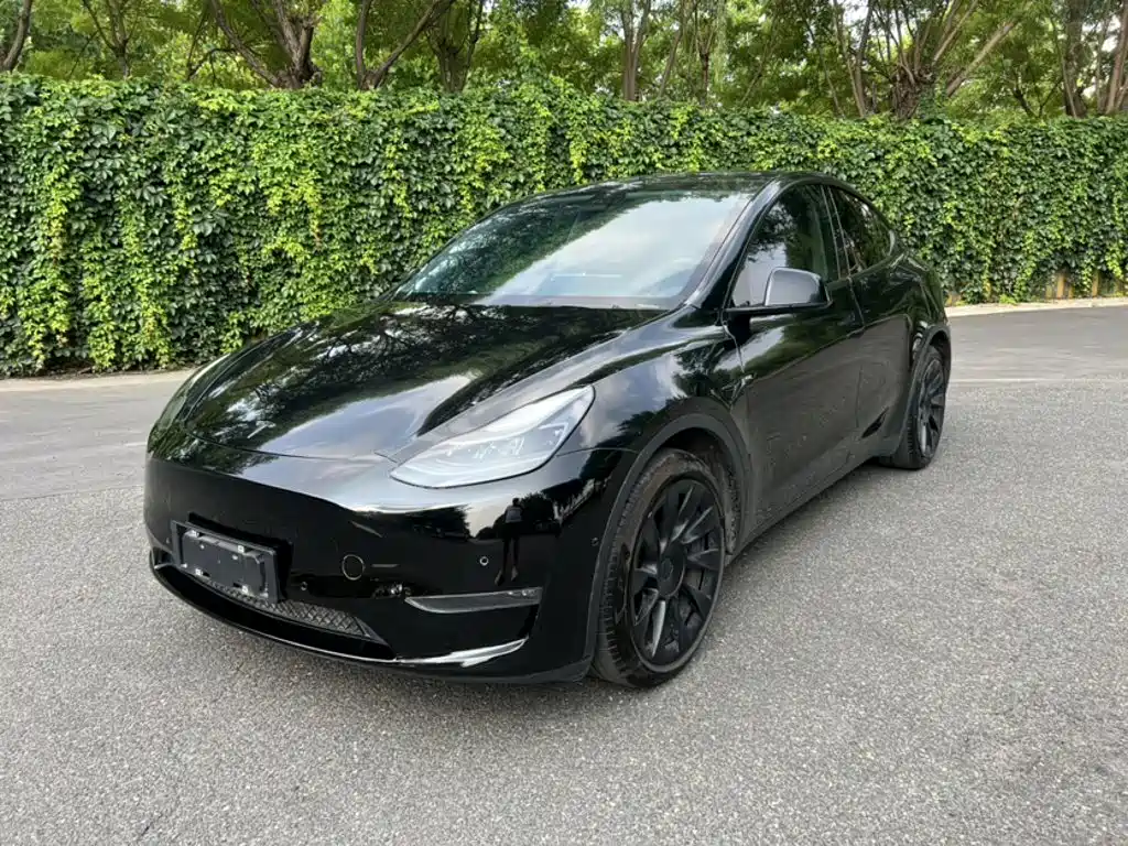 Tesla Model Y 2021 Model Long Range AWD