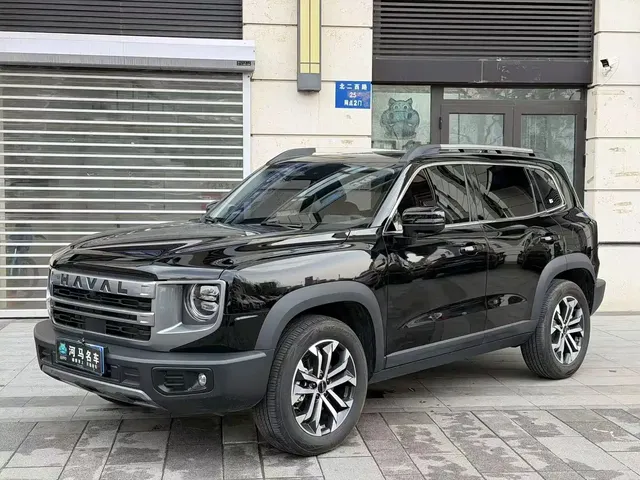 Haval Big Dog 2024 1.5T DCT Border Collie Edition