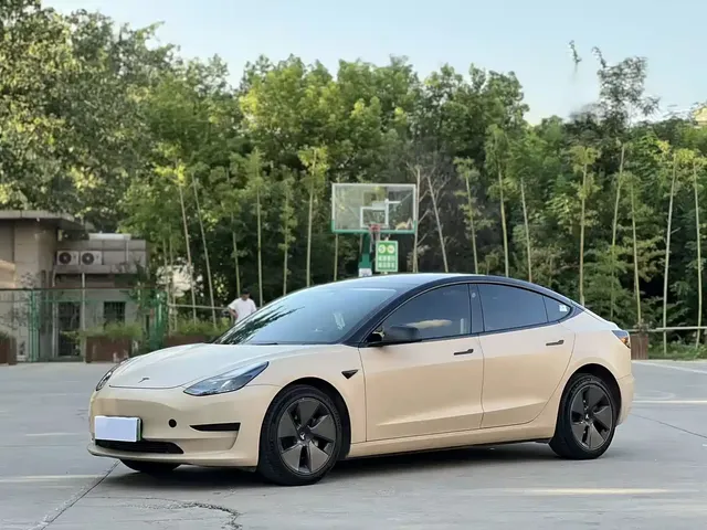 Tesla Model 3 2022 Model Rear-Wheel Drive Version