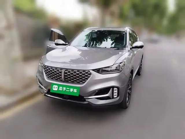 WEY VV6 2020 2.0T 2WD Smart Protection+