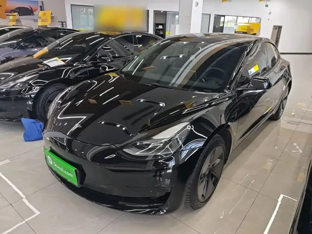 Tesla Model 3 2022 Model Rear-Wheel Drive Version